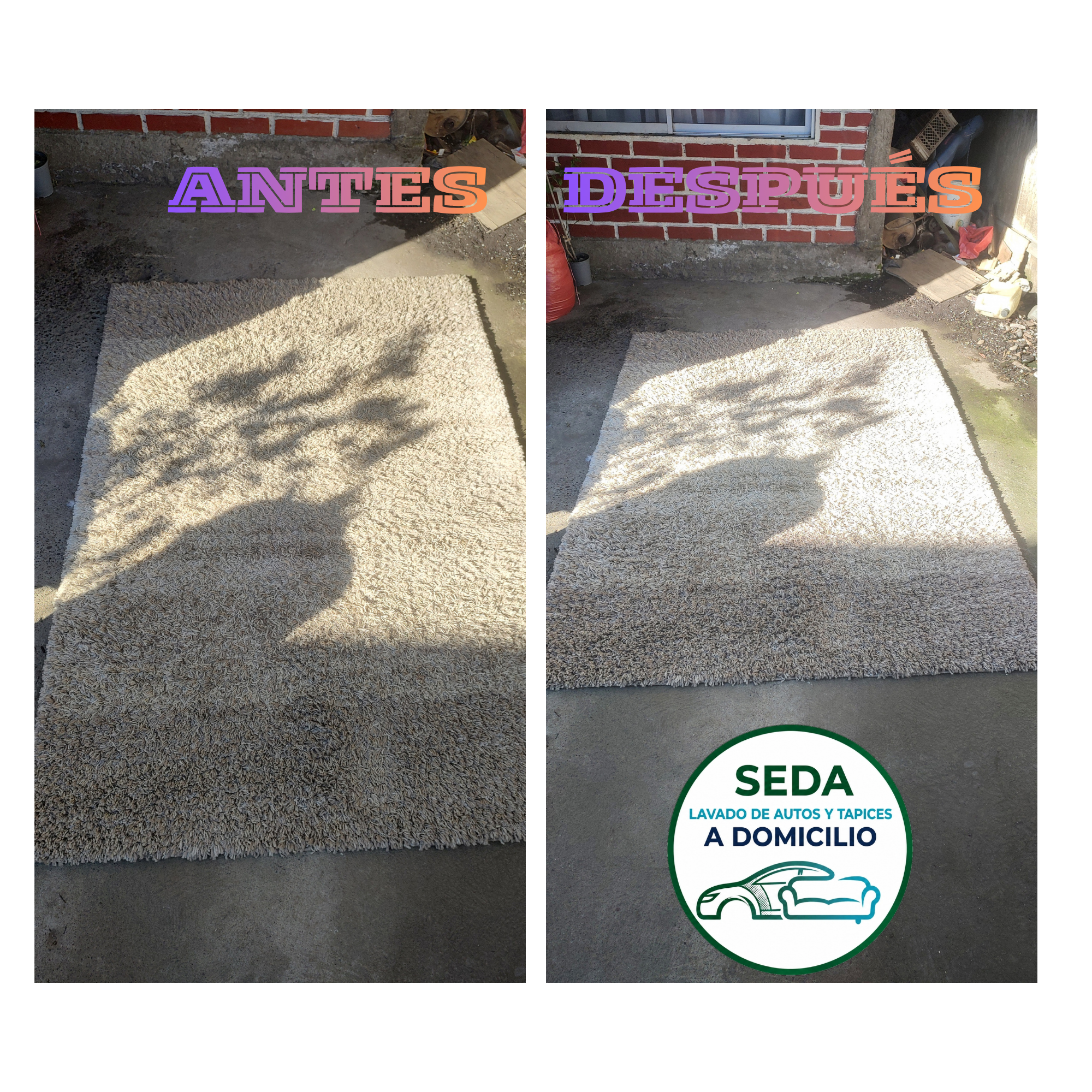 Lavado de Alfombra